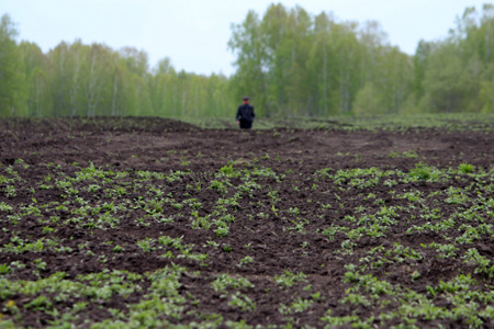 Агрохолдинг «Рассвет» претендует на земли САХО Агрохолдинг «Рассвет» претендует на земли САХО