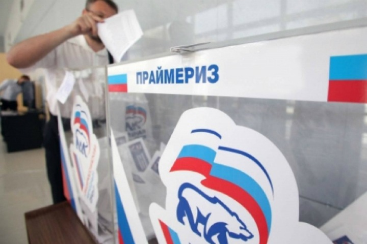 Единороссы из Новокузнецка провели митинг против нарушений на праймериз