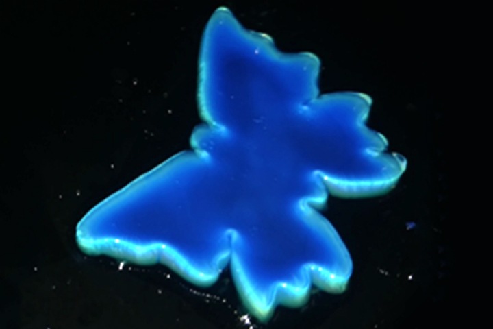 Российские ученые создали синтетическую кожу хамелеона Российские ученые создали синтетическую кожу хамелеона