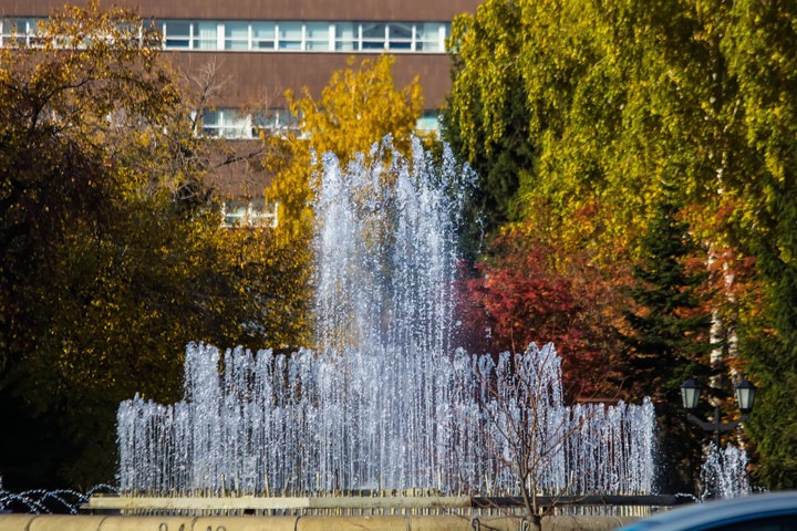 Потепление до +15 пообещали новосибирцам на выходных