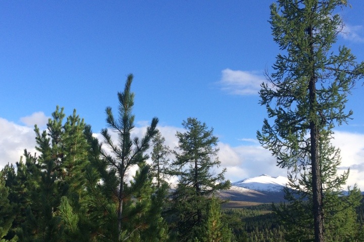 Семинар по изменению климата проведут ученые в Новосибирске