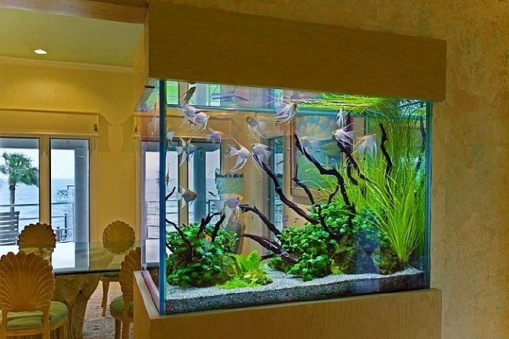 Стоит ли устанавливать аквариум в доме