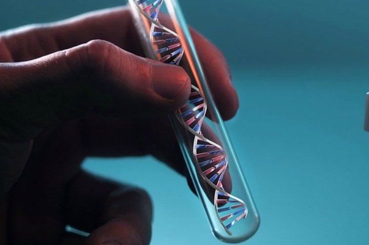 Анализ ДНК на отцовство, где сдать в Сибири? Анализ ДНК на отцовство, где сдать в Сибири?