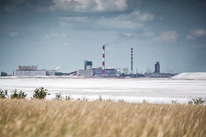 Стабильность алтайского предприятия привлекла рейдеров