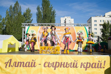 Алтайская биофабрика заменит импортные закваски для сыров отечественными