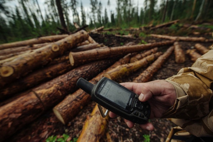 Алтайские чиновники незаконно продали 168 млн кв. метров леса Алтайские чиновники незаконно продали 168 млн кв. метров леса