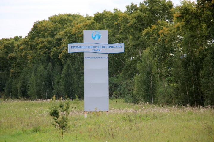 Новосибирский район. Выборы с интригой