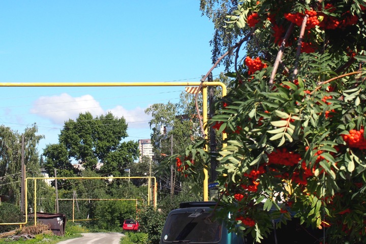 Не только штрафы: 42 факта незаконного отбора газа выявлено в Новосибирской области