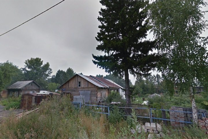 Новосибирские власти отдали под застройку Декоративный питомник