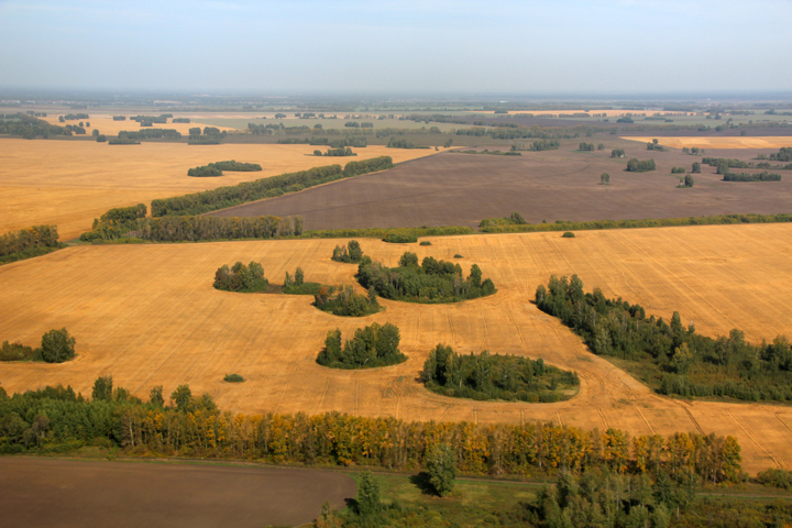 Новосибирские депутаты раскритиковали работу правительства с простаивающей землей
