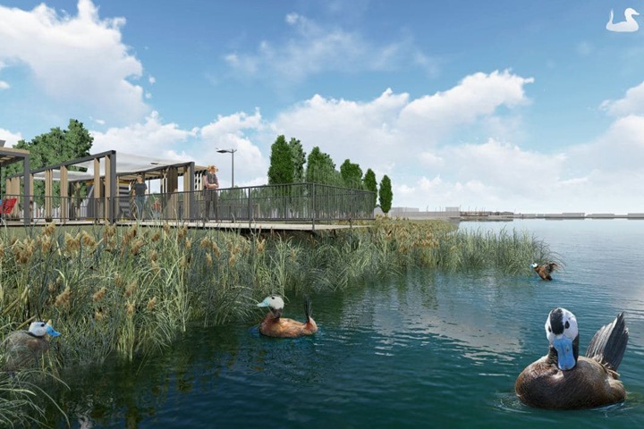 Более 100 млн потратят на набережную для наблюдения за птицами в Карасуке Более 100 млн потратят на набережную для наблюдения за птицами в Карасуке