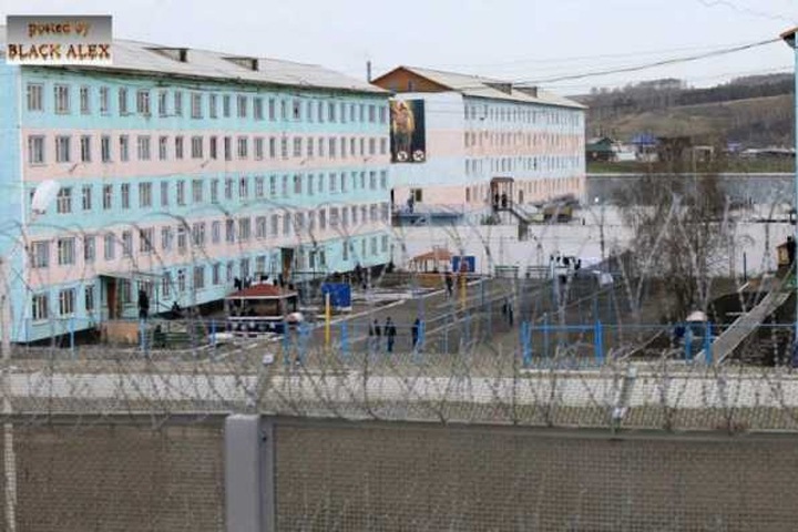 Красноярское ГУ ФСИН начало проверку после публикации видео с унижениями заключенного сотрудником колонии Красноярское ГУ ФСИН начало проверку после публикации видео с унижениями заключенного сотрудником колонии