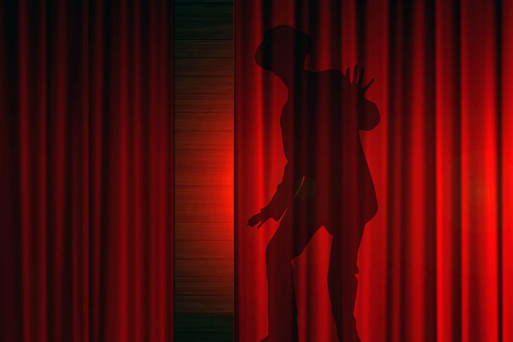 Сибирская нацгвардия заказала театральные занавесы и ширмы за 3,5 млн