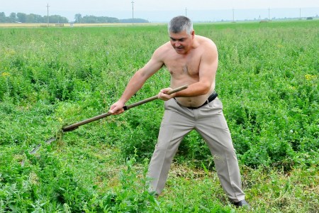 Уволенный за «смерть» алтайского коня чиновник взялся за тувинских маралов