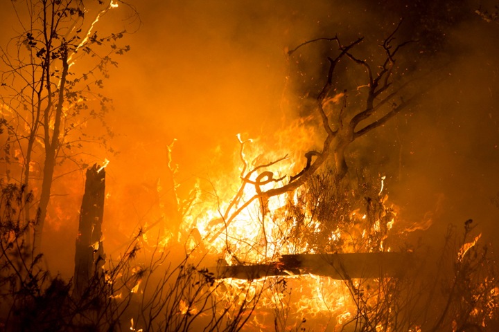Площадь лесных пожаров в Сибири продолжает расти