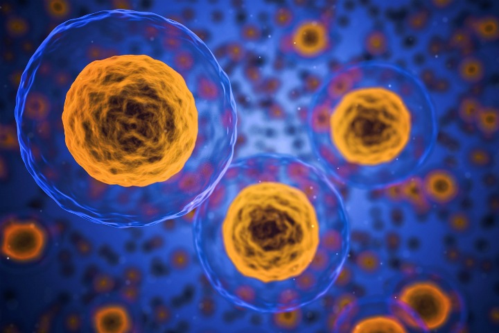 Наука года: исследования старения, борьба с раком и нейросети для здоровья