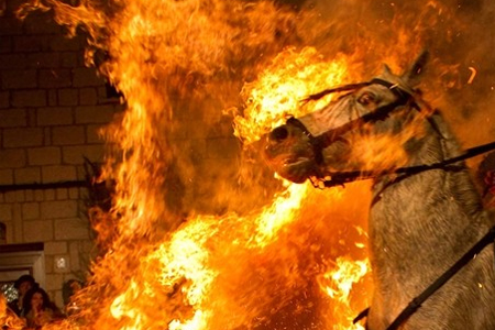 Санкционное мясо в Новосибирской области будут сжигать в крематорах Санкционное мясо в Новосибирской области будут сжигать в крематорах