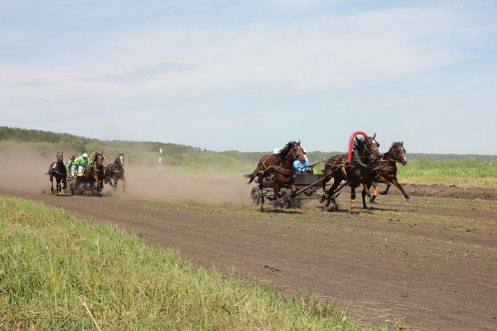 Андрей Шимкив: «Если проходят скачки — значит, коневодство живет»