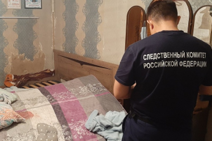 Жительница Кызыла зарезала 10-месячного племянника, пытаясь убить сожителя