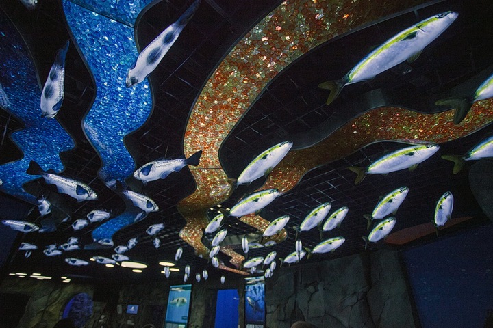 Омский «Мостовик» проверят по делу о гибели редких животных Омский «Мостовик» проверят по делу о гибели редких животных