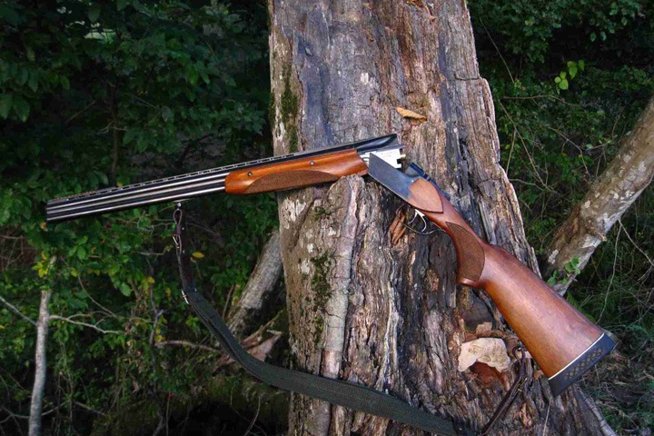 Новосибирский пенсионер пойдет под суд за внука, застрелившего одноклассника Новосибирский пенсионер пойдет под суд за внука, застрелившего одноклассника