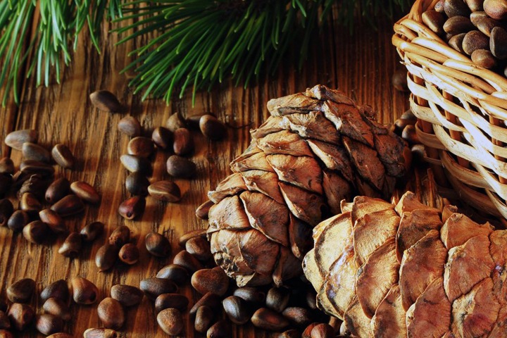 Числа недели: еще одна авария «Норникеля», экспорт алтайских орехов и худший регион для жизни