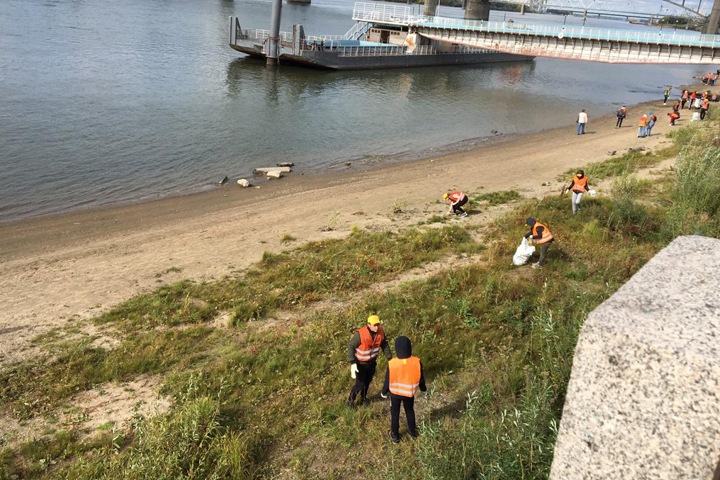 Новосибирские студенты посоревновались в сборе мусора на берегу Оби