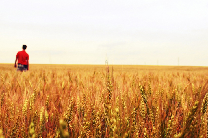 Американец нелегально проник в Новосибирскую область через границу с Казахстаном Американец нелегально проник в Новосибирскую область через границу с Казахстаном