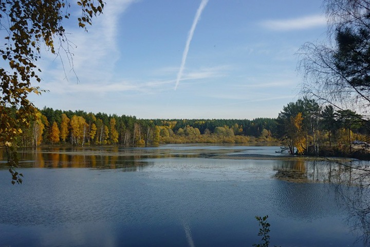 СНТ незаконно получило участок на берегу реки под Новосибирском стоимостью 55 млн рублей СНТ незаконно получило участок на берегу реки под Новосибирском стоимостью 55 млн рублей