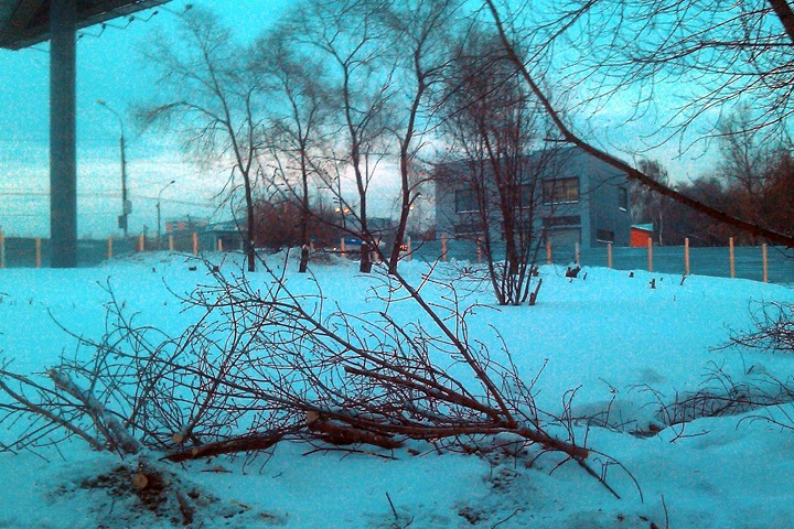 Крупнейший производитель передатчиков построит бизнес-центр на месте сквера в Кировке Крупнейший производитель передатчиков построит бизнес-центр на месте сквера в Кировке