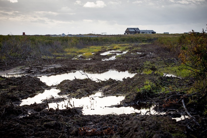 Greenpeace: строительство нефтяного терминала «Таналау» на Енисее способно вызвать вспышку сибирской язвы
