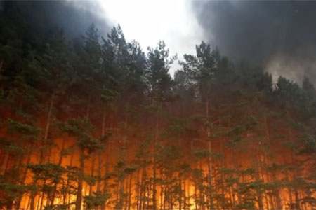 Иркутская поэтесса посвятила стихотворение пожарам на Байкале