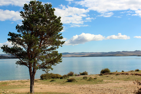 Более 61 тыс. защитников Байкала подписались против каскада ГЭС в Монголии Более 61 тыс. защитников Байкала подписались против каскада ГЭС в Монголии