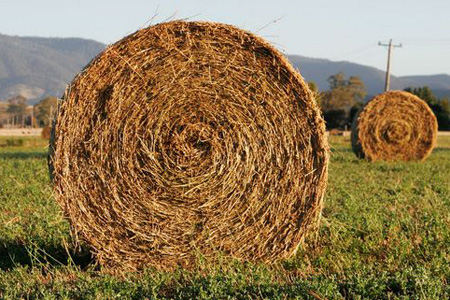 Депутат в Алтайском крае избил подростка, залезшего на территорию его усадьбы Депутат в Алтайском крае избил подростка, залезшего на территорию его усадьбы