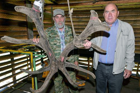 Путину на Алтае приготовили 70 кг пантов марала для ванн