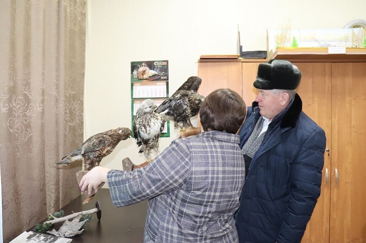 Осужденному за браконьерство главе Убинского района Конюку прислали чучело канюка