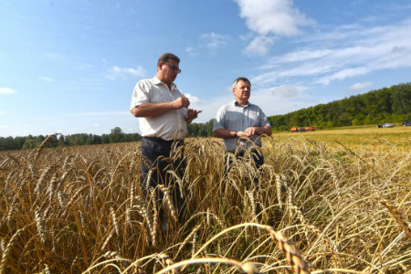 Первое хозяйство закончило уборку в Новосибирской области Первое хозяйство закончило уборку в Новосибирской области