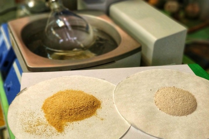 Ученые сумели добыть биологически активные вещества из опилок. Их можно использовать в медицине Ученые сумели добыть биологически активные вещества из опилок. Их можно использовать в медицине