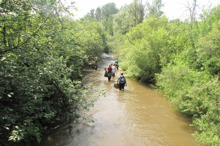 Ространснадзор признал незаконным полигон отходов и завод у реки Издревая в Новосибирске