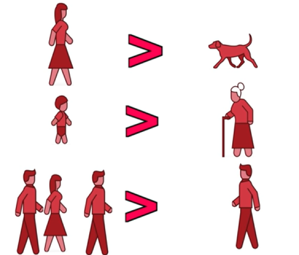 Кадр из исследования