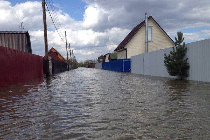 Количество подтопленных новосибирских дач выросло на треть Количество подтопленных новосибирских дач выросло на треть