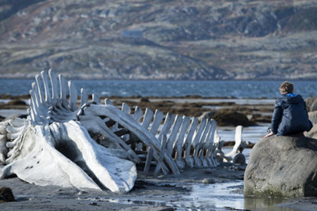 «Левиафан» новосибирца Андрея Звягинцева получил «Золотой глобус» «Левиафан» новосибирца Андрея Звягинцева получил «Золотой глобус»