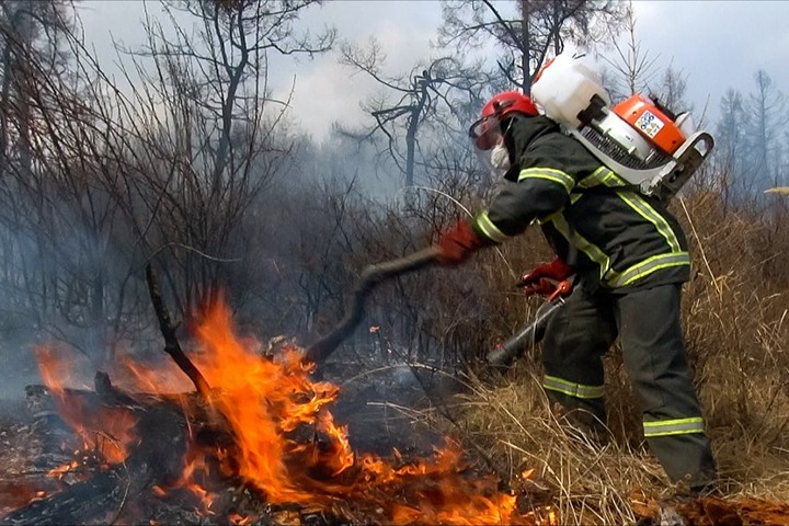 Сибирь горит, продукты дорожают. Числа недели Сибирь горит, продукты дорожают. Числа недели