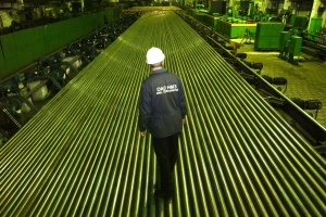 Новосибирские пенсионеры смогут бесплатно посетить фотовыставку в краеведческом музее Новосибирские пенсионеры смогут бесплатно посетить фотовыставку в краеведческом музее