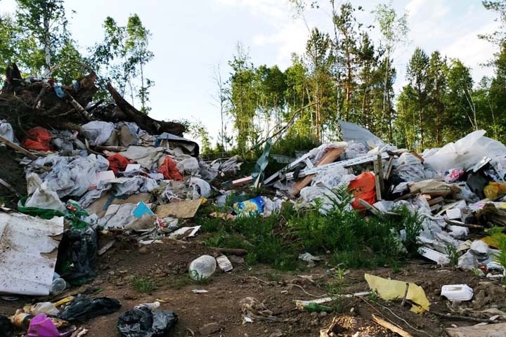 Прокуратура предписала ликвидировать незаконную свалку на берегу Телецкого озера
