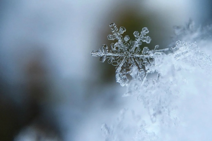 Похолодание до -11 и снег ожидаются в Новосибирской области