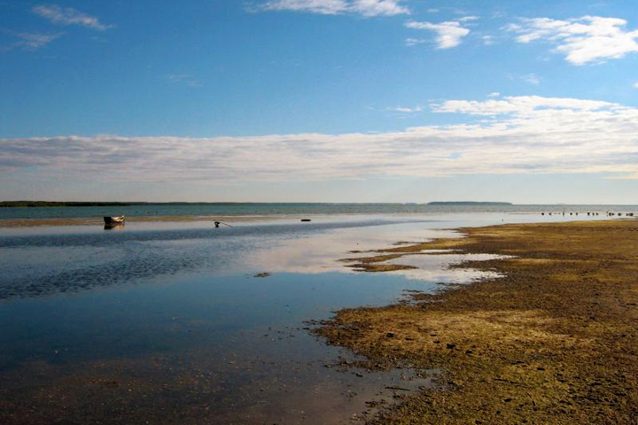 «Новосибирская птицефабрика» сможет построить базу отдыха на 29 га у озера Чаны «Новосибирская птицефабрика» сможет построить базу отдыха на 29 га у озера Чаны