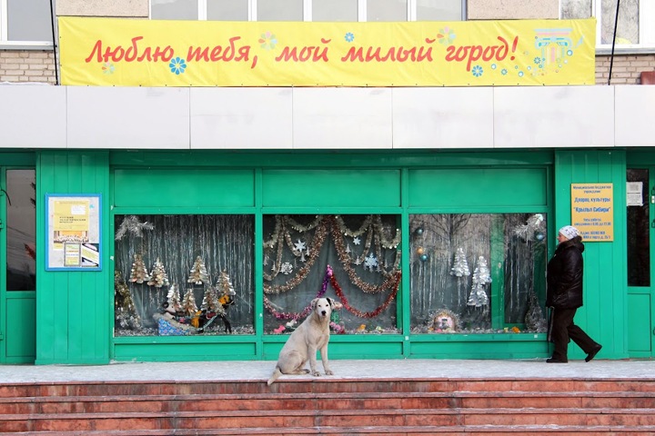 Местное самоуправление. Что мертво, умереть не может Местное самоуправление. Что мертво, умереть не может