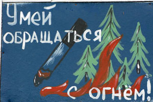 Штормовое предупреждение объявлено в Новосибирской области из-за высокой пожароопасности
