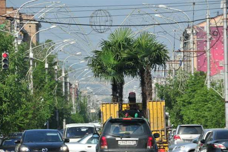 Сбербанк профинансирует озеленение Красноярска Сбербанк профинансирует озеленение Красноярска